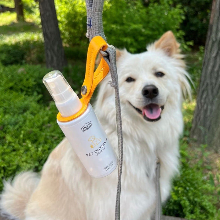 ※予約販売【AROMA POODING】pet outdoor spray