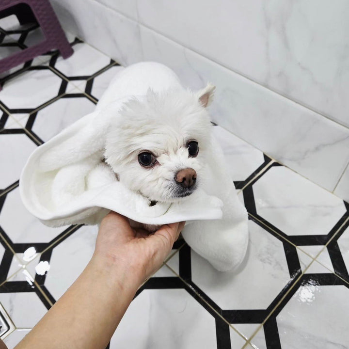 ※予約販売【heytail】Quick Dry Bath Towel
