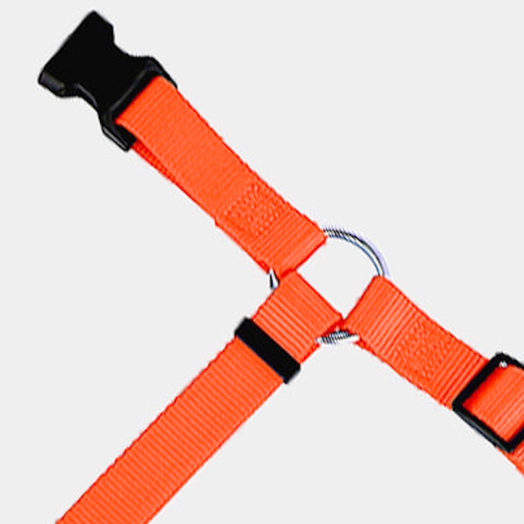 ※予約販売【HOUT】Safety belt tether（headrest type）