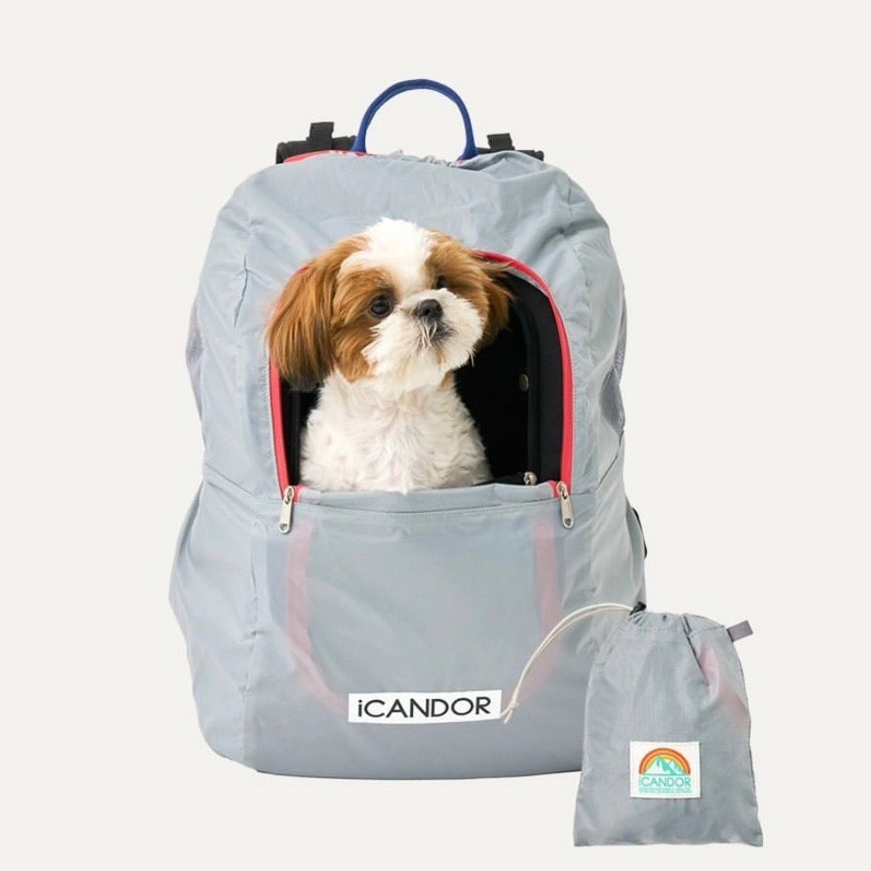 iCANDOR（アイキャンダー） – ページ – URBAN DOG TOKYO