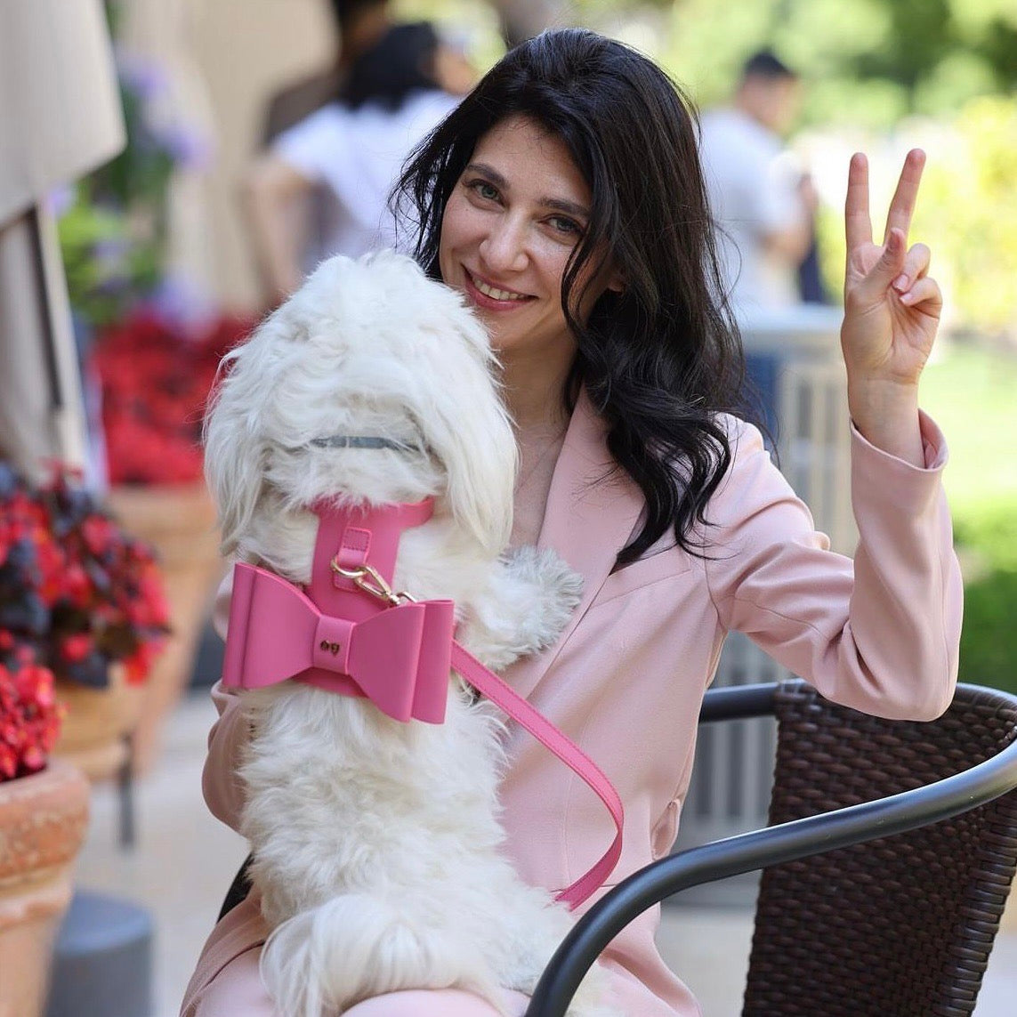 海外犬服 高品質なインポートのドッグウェア通販 