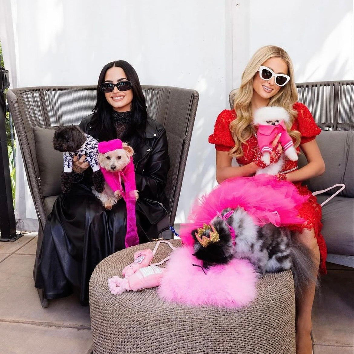 海外犬服 高品質なインポートのドッグウェア通販 