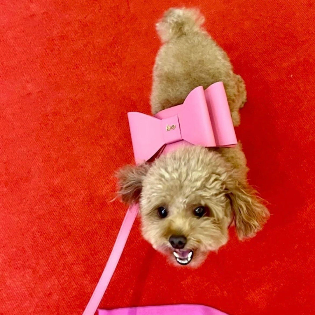 即納【MOSHIQA】Paris Collection Metapink Bow Dog Leash