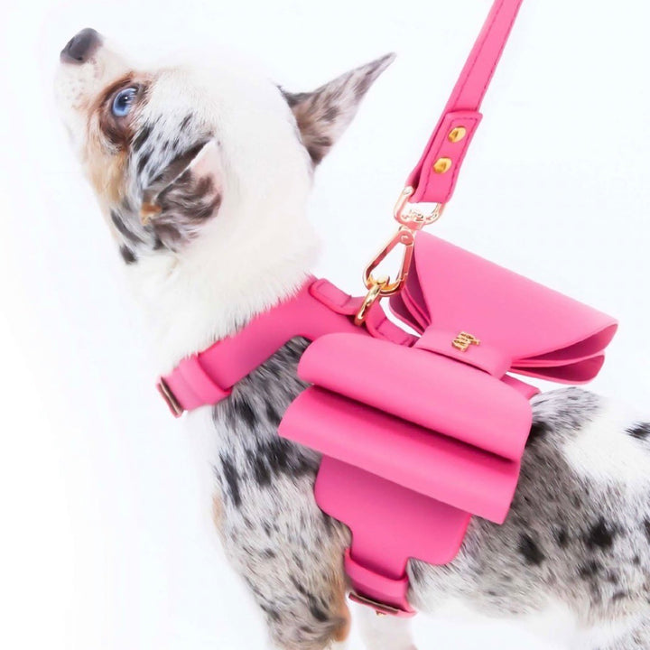 即納【MOSHIQA】Paris Collection Metapink Bow Dog Leash