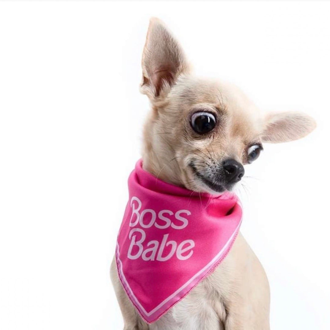 即納【MOSHIQA】Paris Collection Boss Babe Dog Bandana