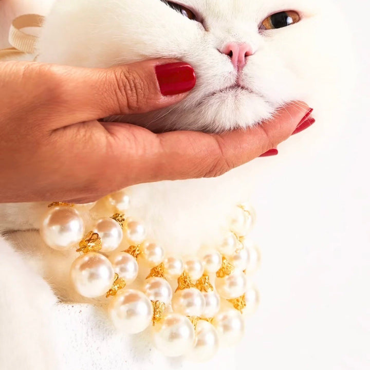 即納【MOSHIQA】Dubai Dog Necklace