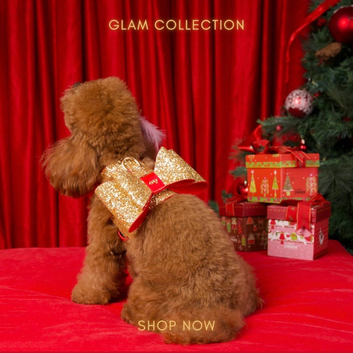 即納【MOSHIQA】Glam Dog Harness