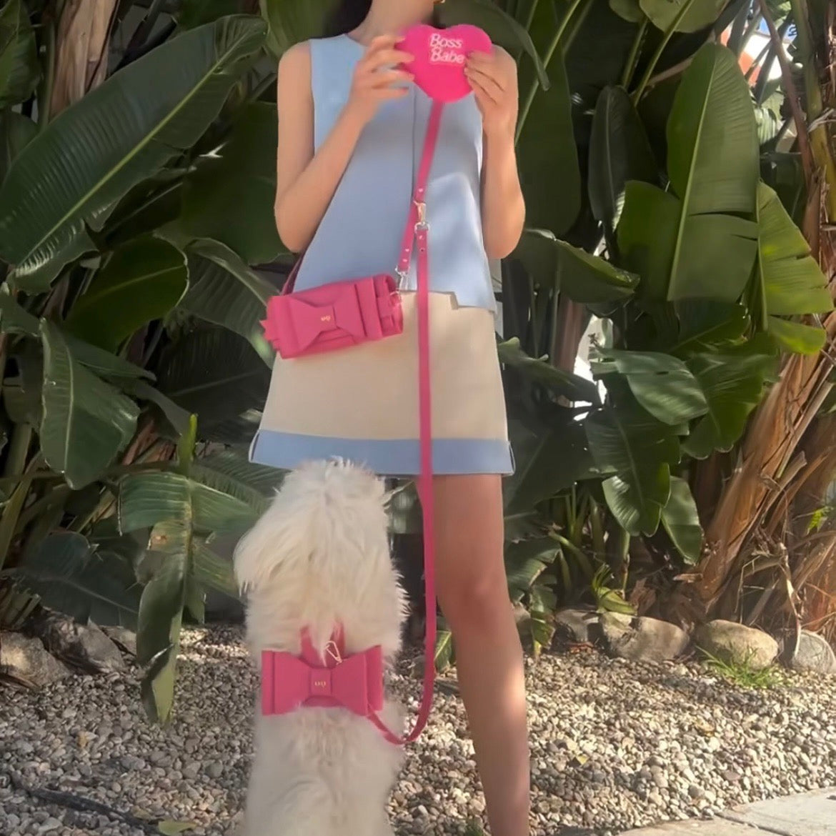 海外犬服 高品質なインポートのドッグウェア通販 