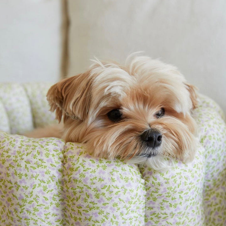 ※予約販売【azalea】Canele Cushion（New Flower Violet）