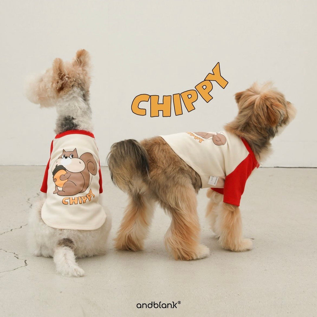 ※予約販売【andblank】Chippy Raglan T-shirt