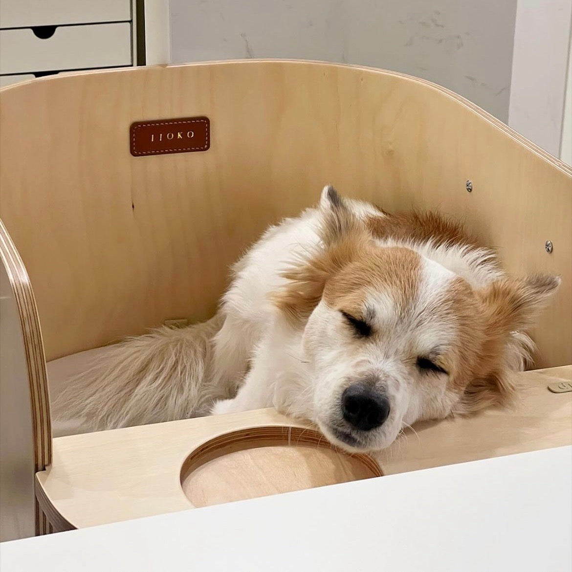 ハンドメイド オーダー受付ページ ♡カフェチワワ パネル♡ 【公式通販】