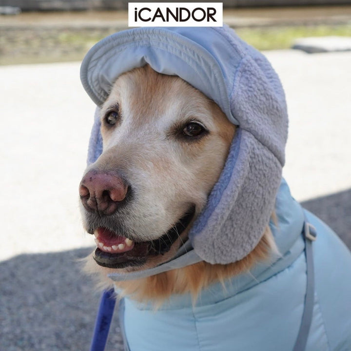 ※予約販売【iCANDOR】SNOWMASS CAP（POWDER BLUE）