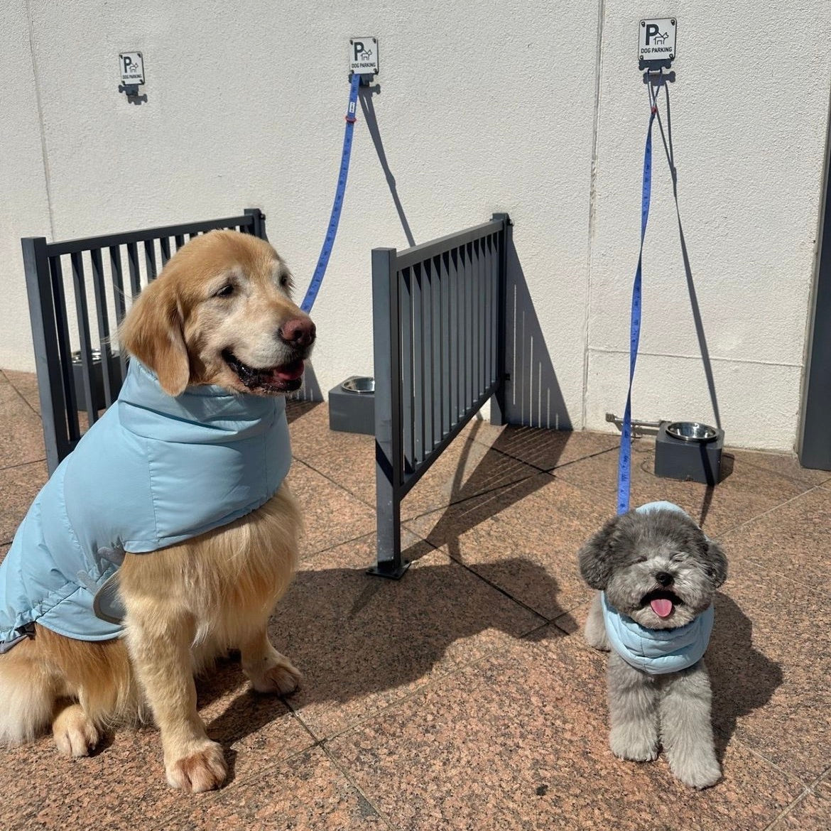 海外犬服高品質なインポートドッグウェア通販 