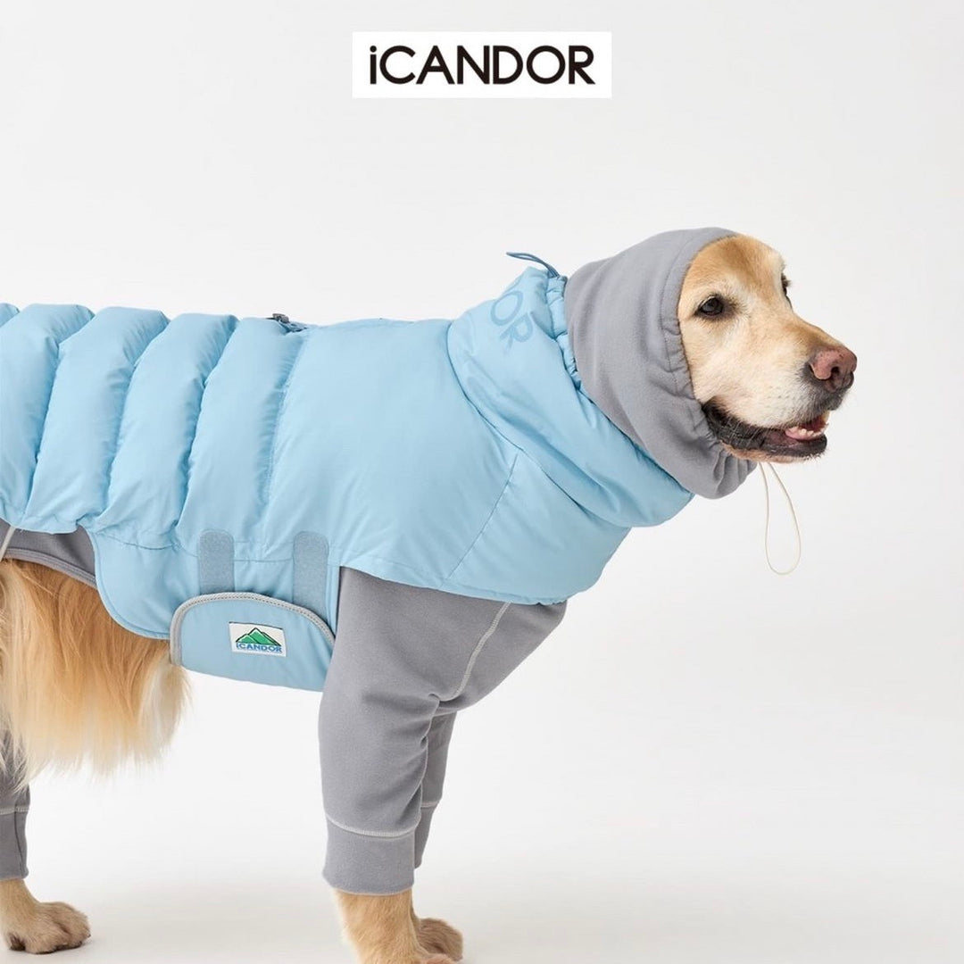 ※予約販売【iCANDOR】POLAR TWEED SNOOD SUIT（GRAY）