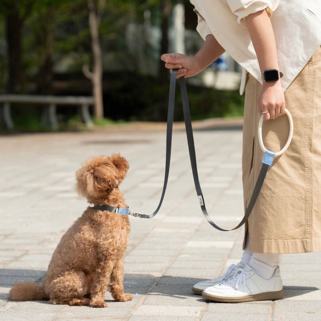 即納【Bad Marlon Design Studio.】Rupel Leash（Deep Grey）