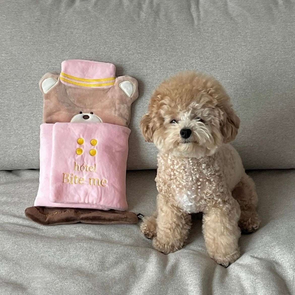 海外犬服 高品質なインポートのドッグウェア通販 