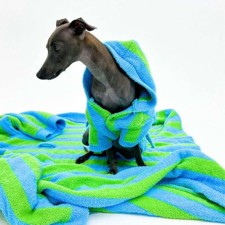 ※予約販売【TOOF】LOLLIPOP PUPPY ROBE（GREEN/BLUE）