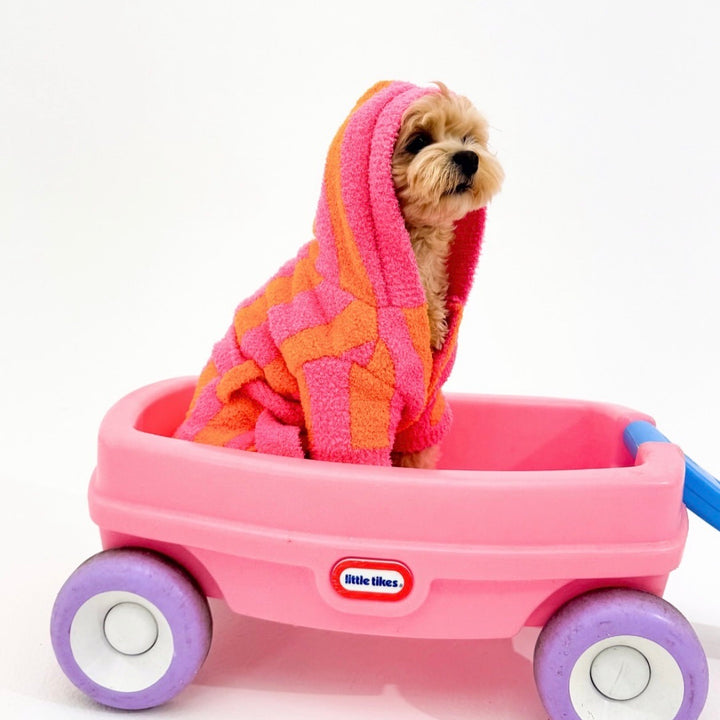 ※予約販売【TOOF】LOLLIPOP PUPPY ROBE（ORANGE/PINK）