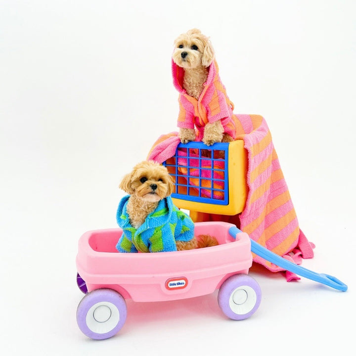 ※予約販売【TOOF】LOLLIPOP PUPPY ROBE（GREEN/BLUE）