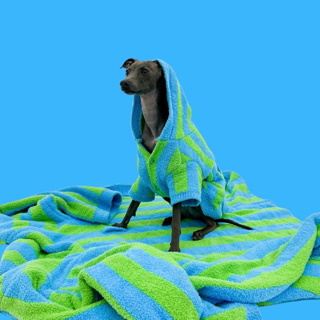 ※予約販売【TOOF】LOLLIPOP PUPPY ROBE（GREEN/BLUE）