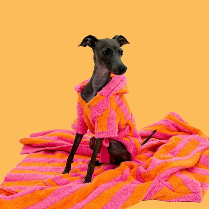 ※予約販売【TOOF】LOLLIPOP PUPPY ROBE（ORANGE/PINK）