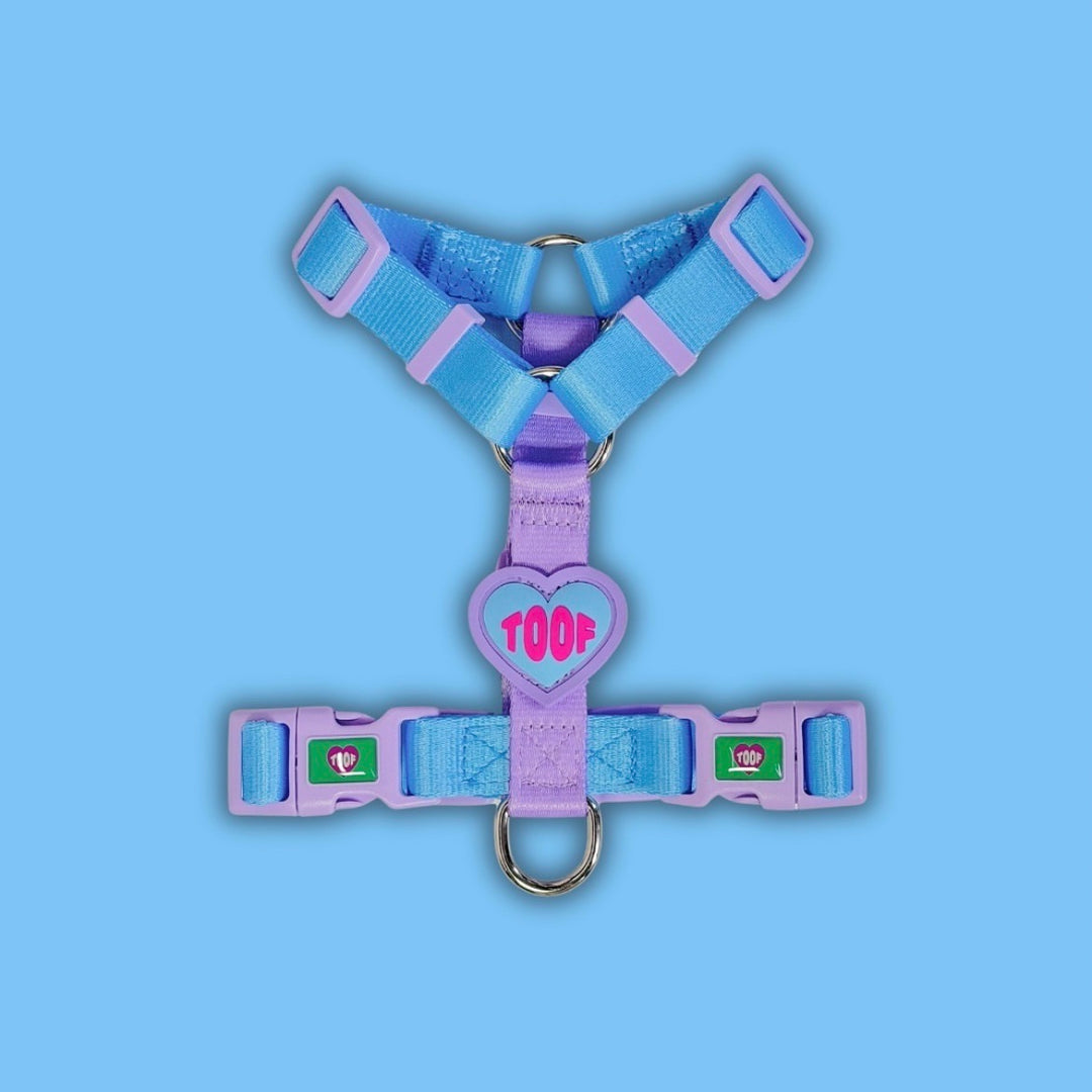 ※予約販売【TOOF】HEART LOGO BUCKEL HARNESS（BLUE/PURPLE）