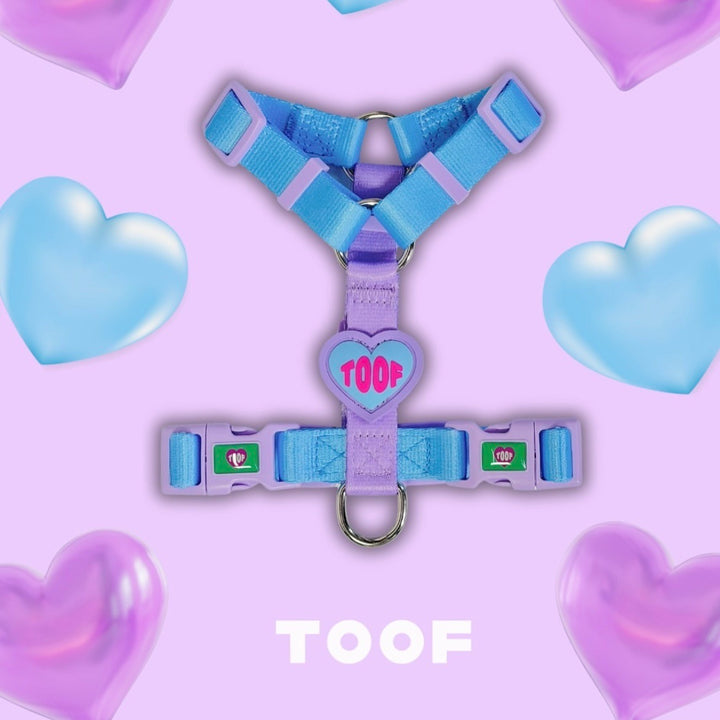 ※予約販売【TOOF】HEART LOGO BUCKEL HARNESS（BLUE/PURPLE）