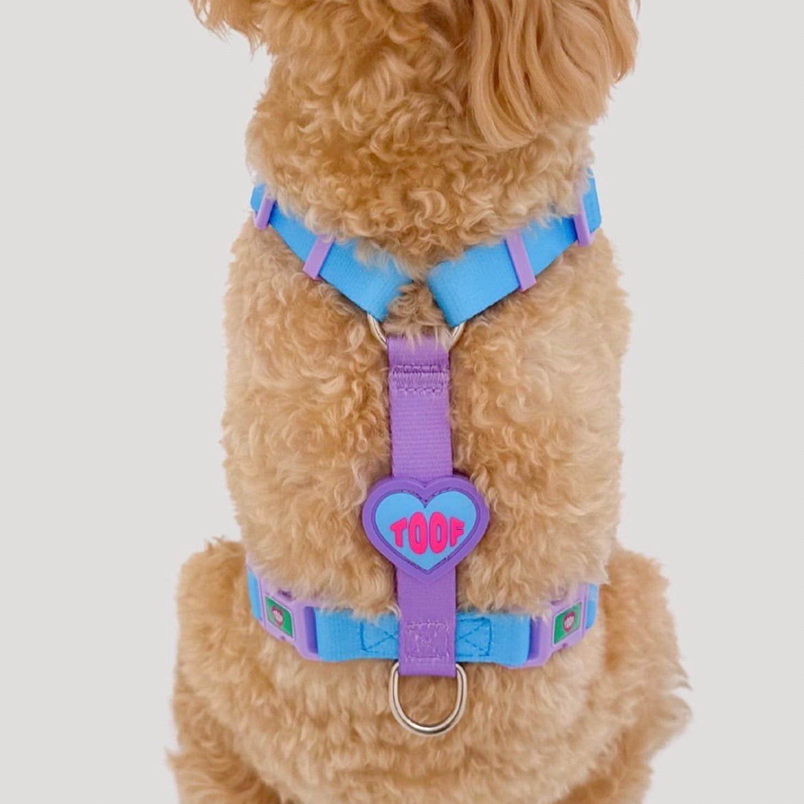 海外犬服 高品質なインポートのドッグウェア通販 