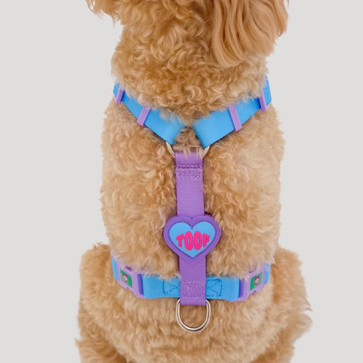 ※予約販売【TOOF】HEART LOGO BUCKEL HARNESS（BLUE/PURPLE）