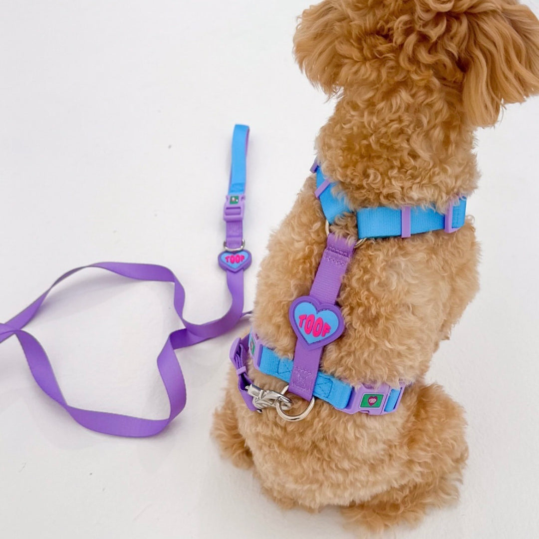 ※予約販売【TOOF】HEART LOGO BUCKEL HARNESS（BLUE/PURPLE）