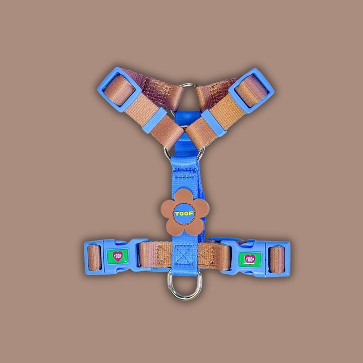 ※予約販売【TOOF】Flower Logo H Harness（Blue/Brown）