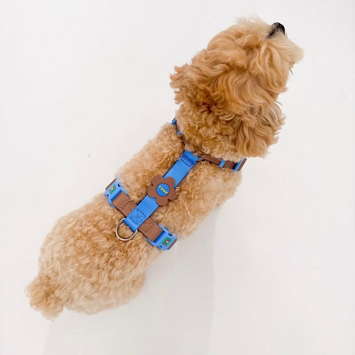 ※予約販売【TOOF】Flower Logo H Harness（Blue/Brown）