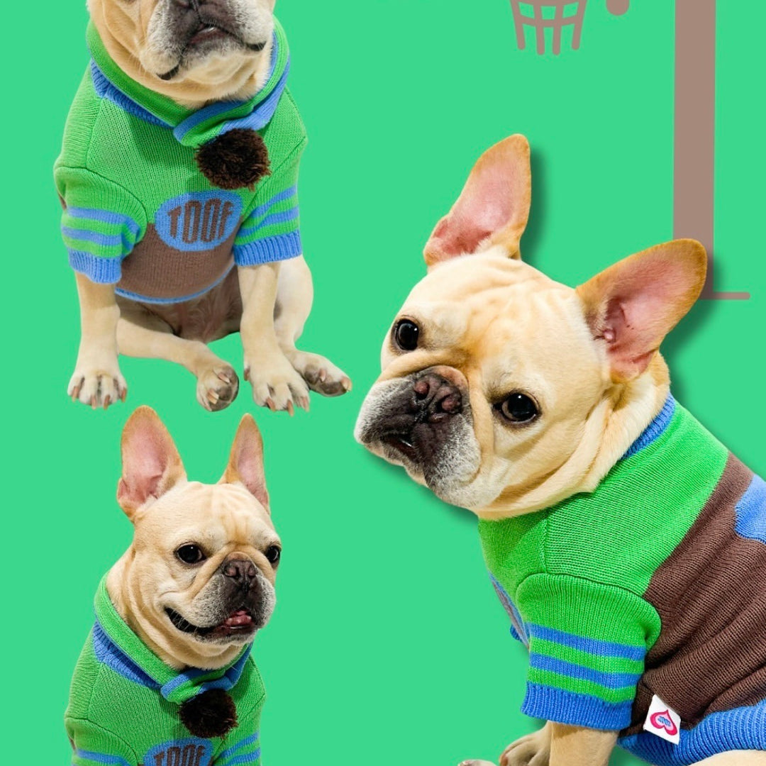 ※予約販売【TOOF】SPORTY VARSITY SWEATER（GREEN/BROWN/BLUE）