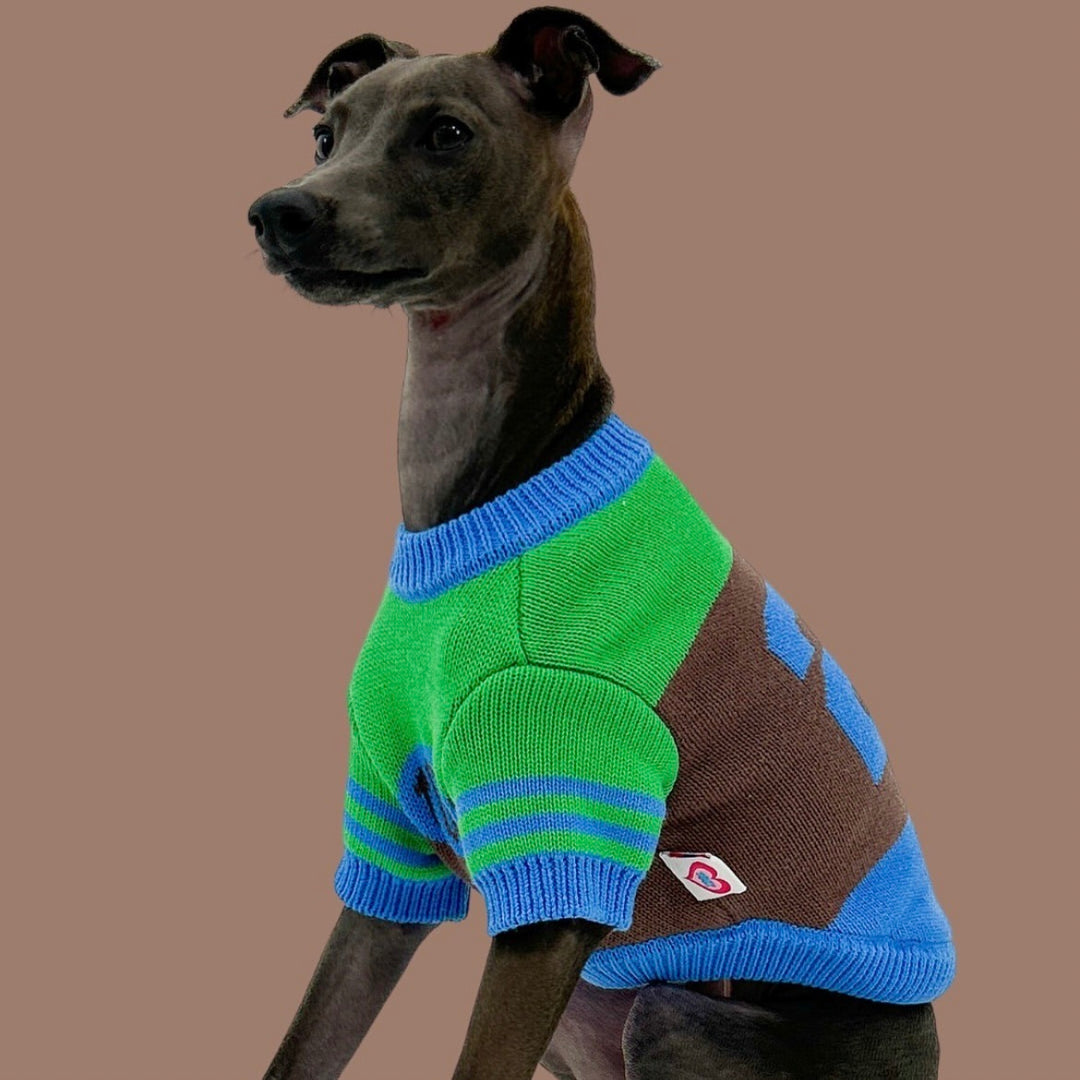 ※予約販売【TOOF】SPORTY VARSITY SWEATER（GREEN/BROWN/BLUE）