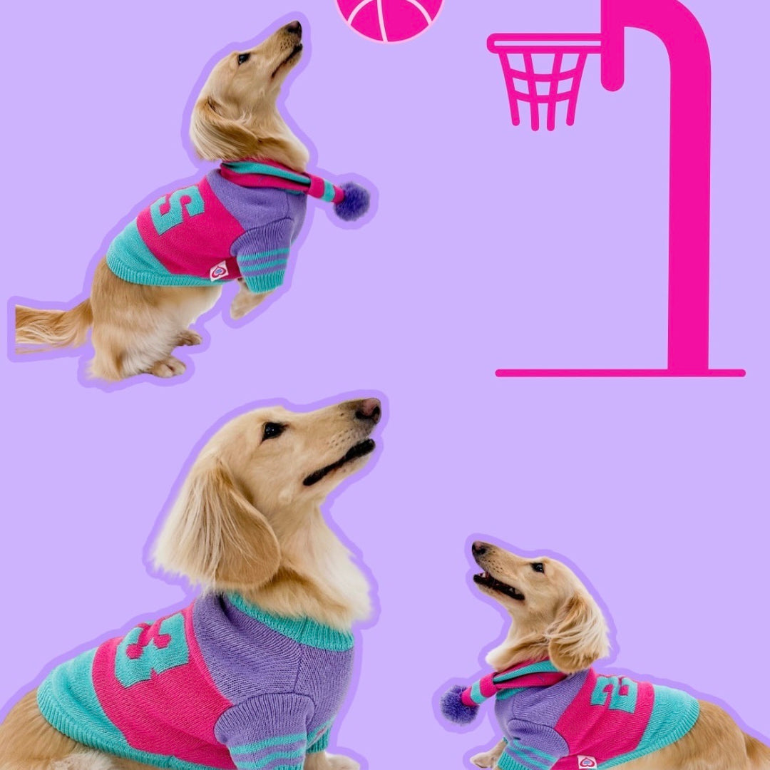 ※予約販売【TOOF】SPORTY VARSITY SWEATER（PINK/PURPLE/TURQUOISE）