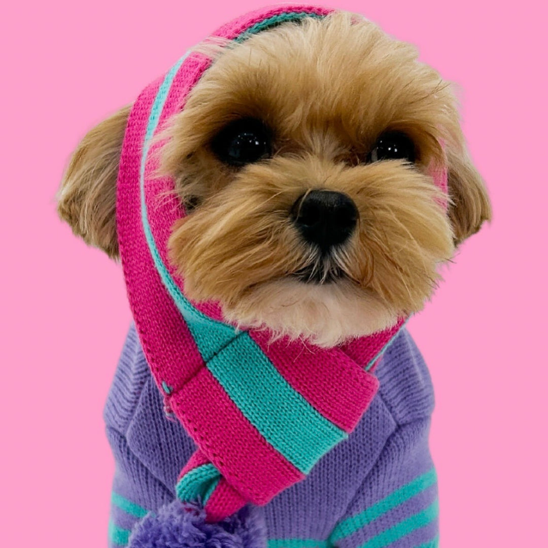 ※予約販売【TOOF】STRIPE COTTON POM POM SCARF（PINK/TURQUOISE）