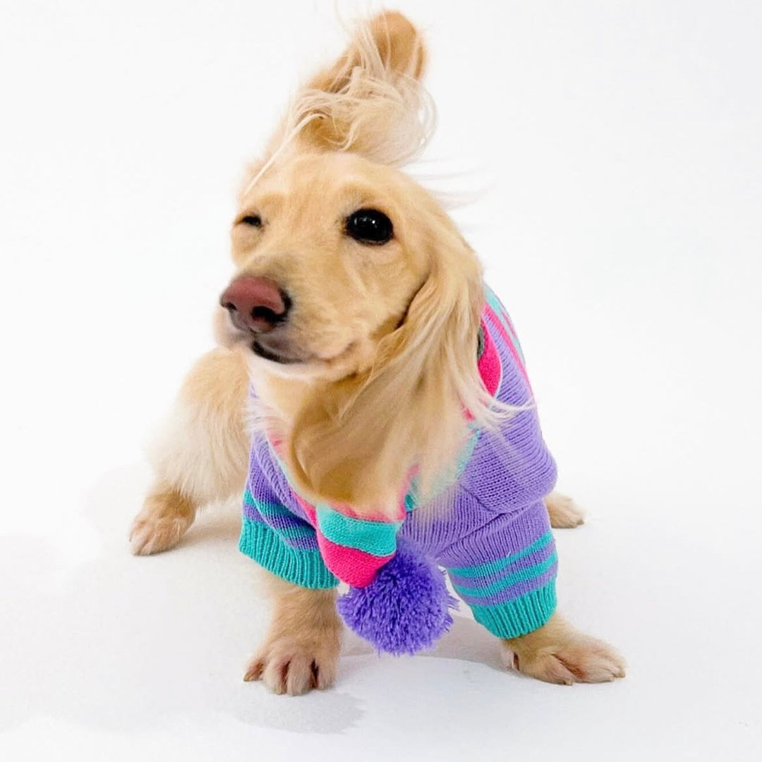 ※予約販売【TOOF】SPORTY VARSITY SWEATER（PINK/PURPLE/TURQUOISE）