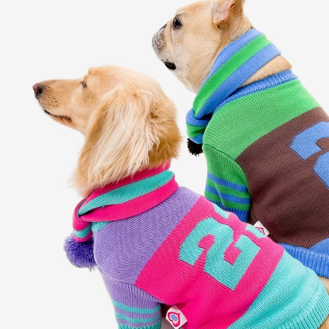 ※予約販売【TOOF】SPORTY VARSITY SWEATER（PINK/PURPLE/TURQUOISE）