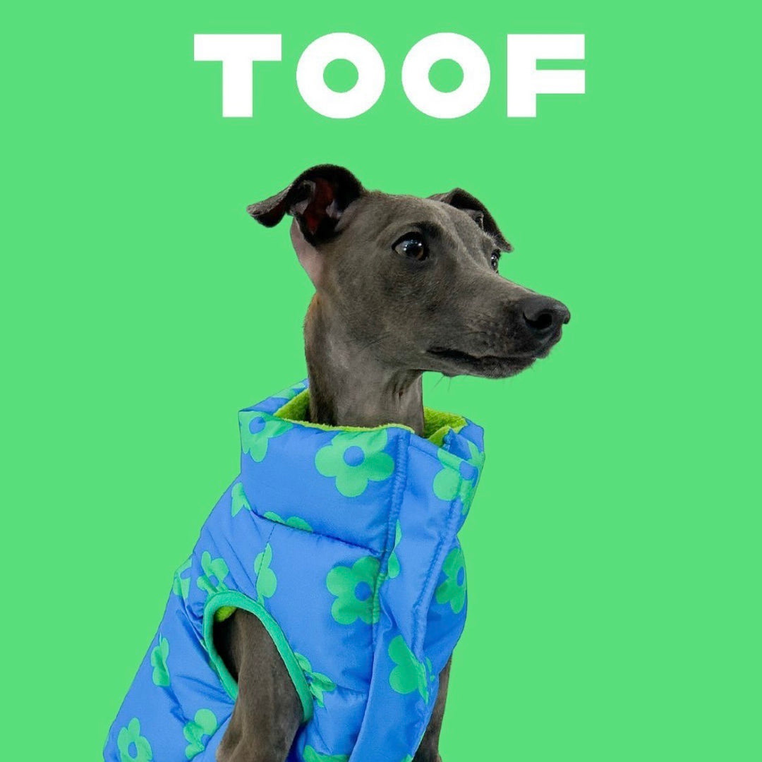 ※予約販売【TOOF】DAISY REVERSIBLE PUFFER（BLUE）