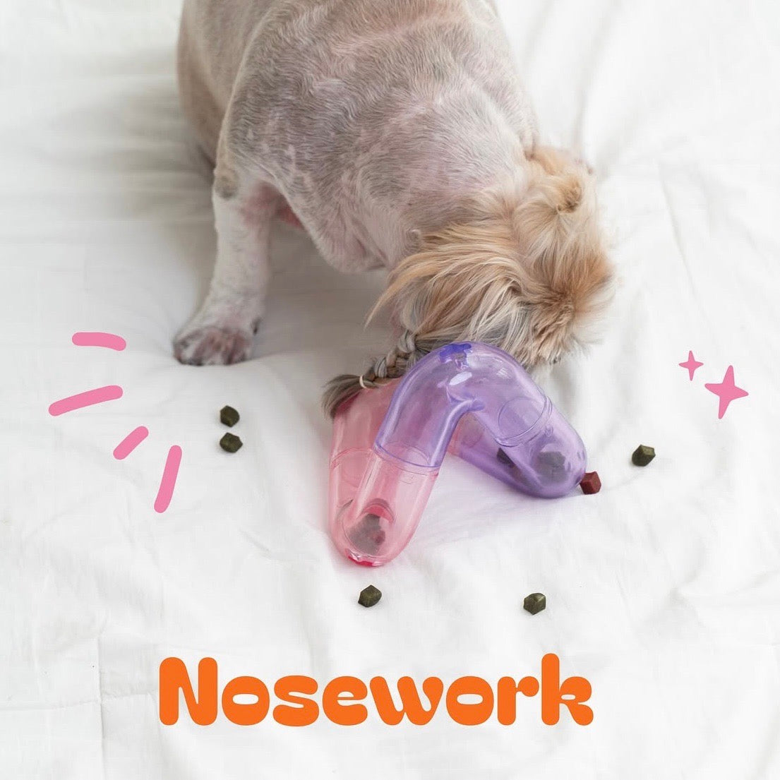 Lily犬服 Halloweenオーダー受付ページ Lily犬服 Halloweenオーダー