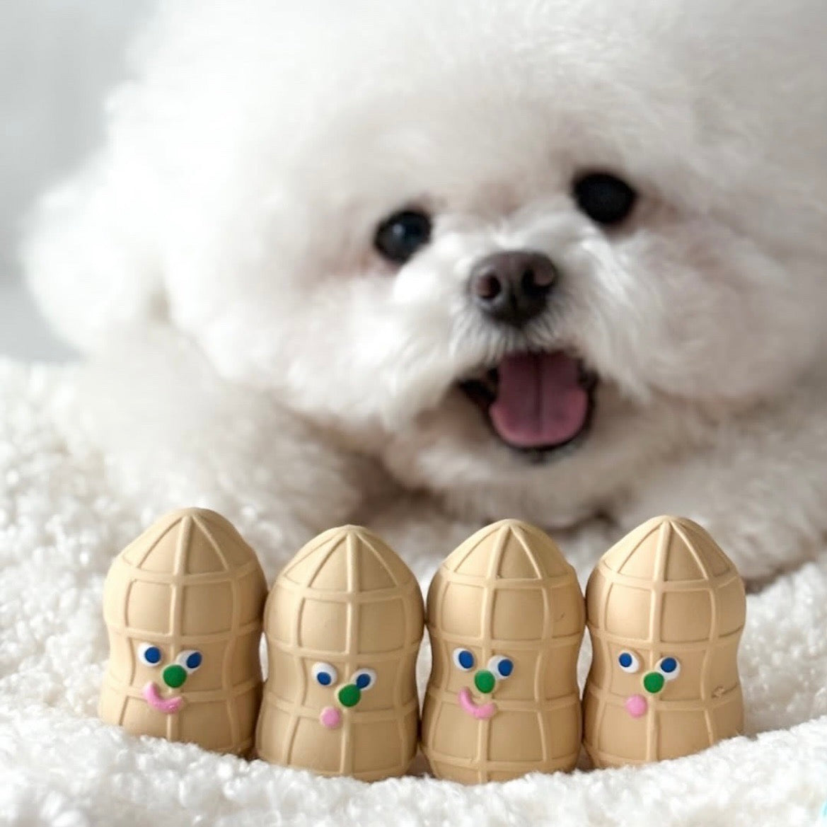 海外犬服 高品質なインポートのドッグウェア通販 