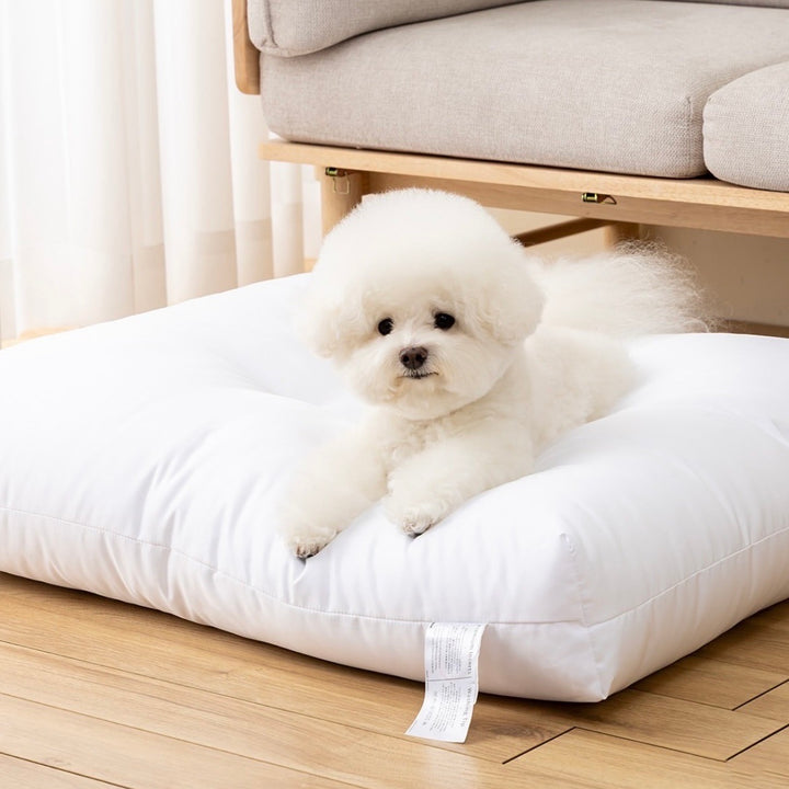 即納【Chiot】Comfort Coming Bed Cosy Stripe（Mint）