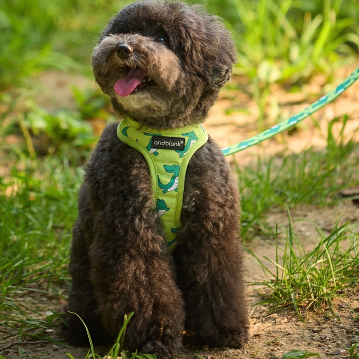 即納【andblank】ICONIC Lazy Crocodile Harness（Green）