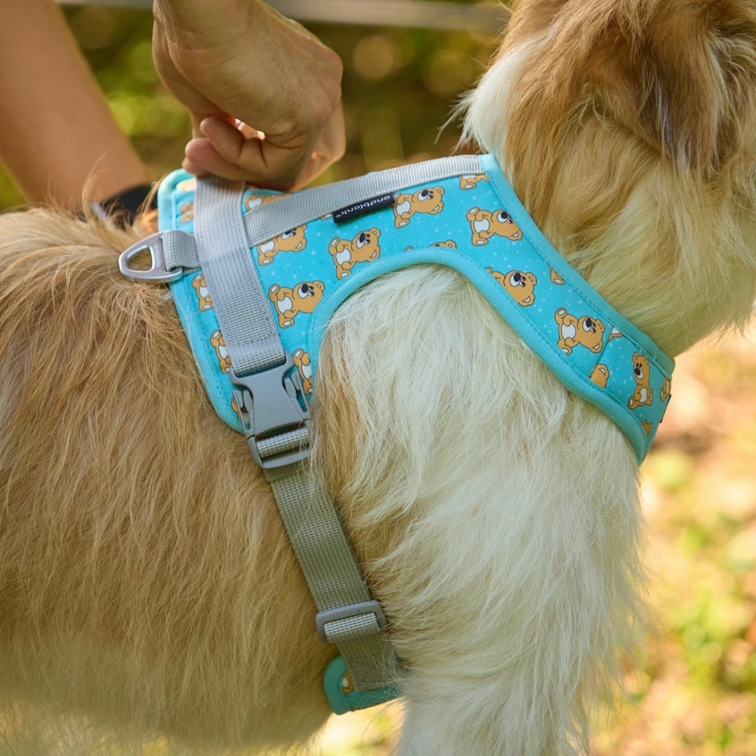 ※予約販売【andblank】ICONIC Joy Bear Harness（Mint）