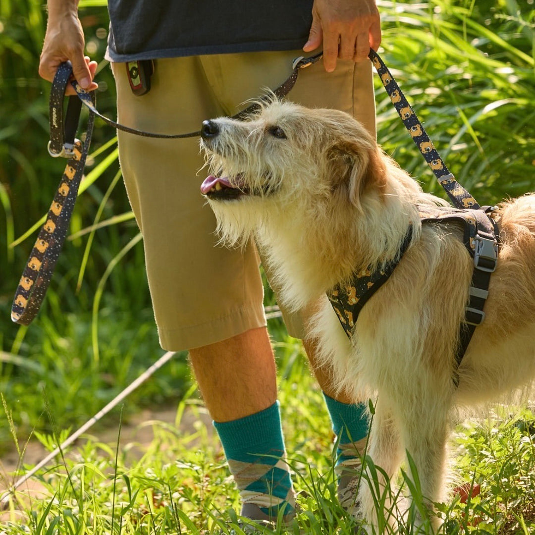 ※予約販売【andblank】ICONIC Joy Bear Harness（Black）