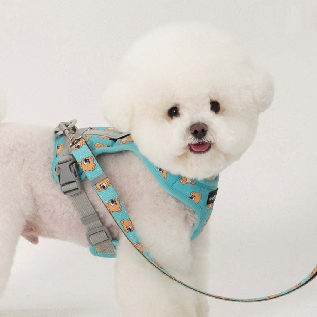 ※予約販売【andblank】ICONIC Joy Bear Harness（Mint）