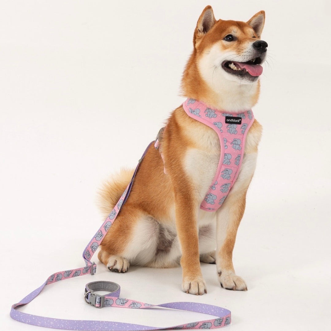 ※予約販売【andblank】ICONIC Jelly Phant Harness（Pink）