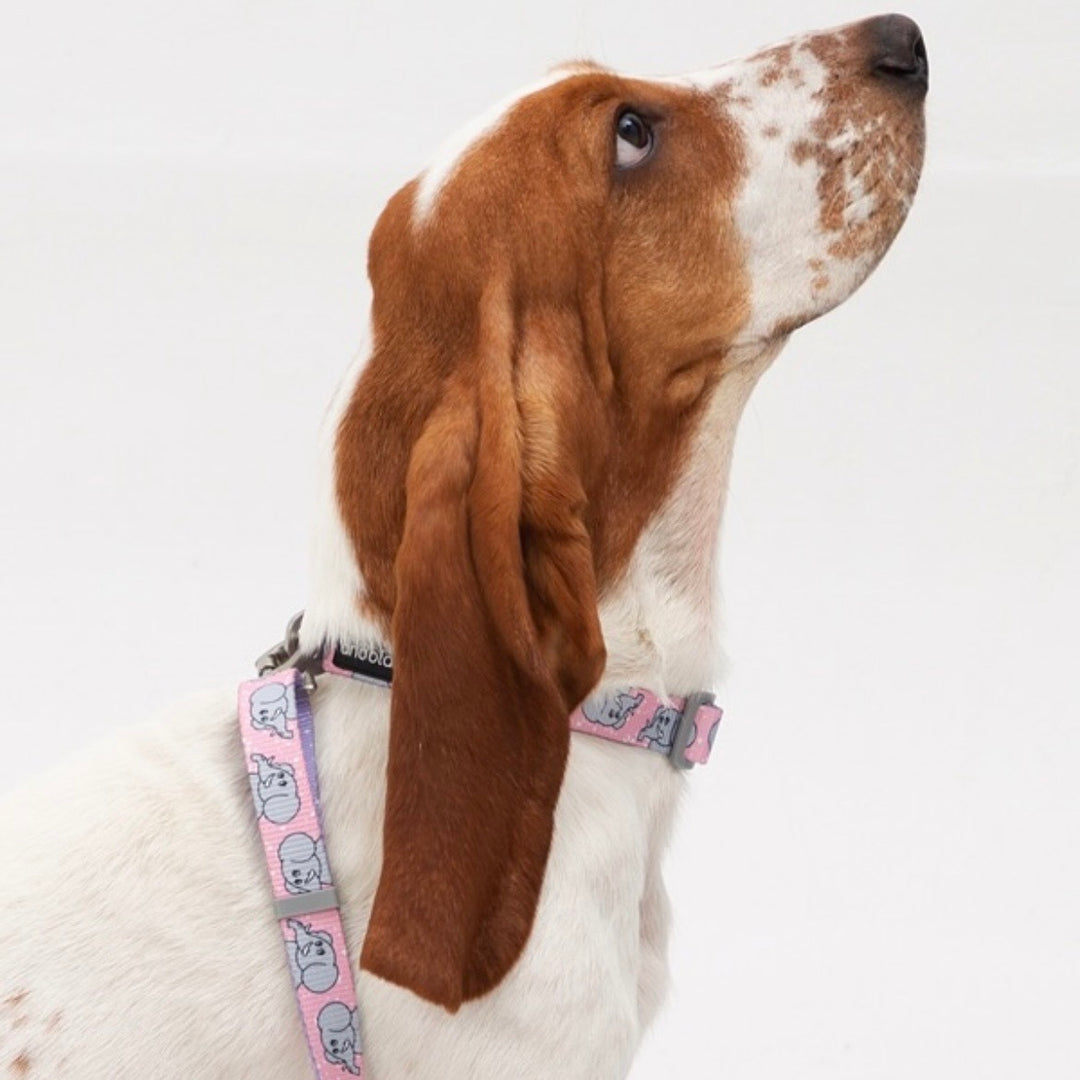 ※予約販売【andblank】ICONIC Jelly Phant Collar（Pink）