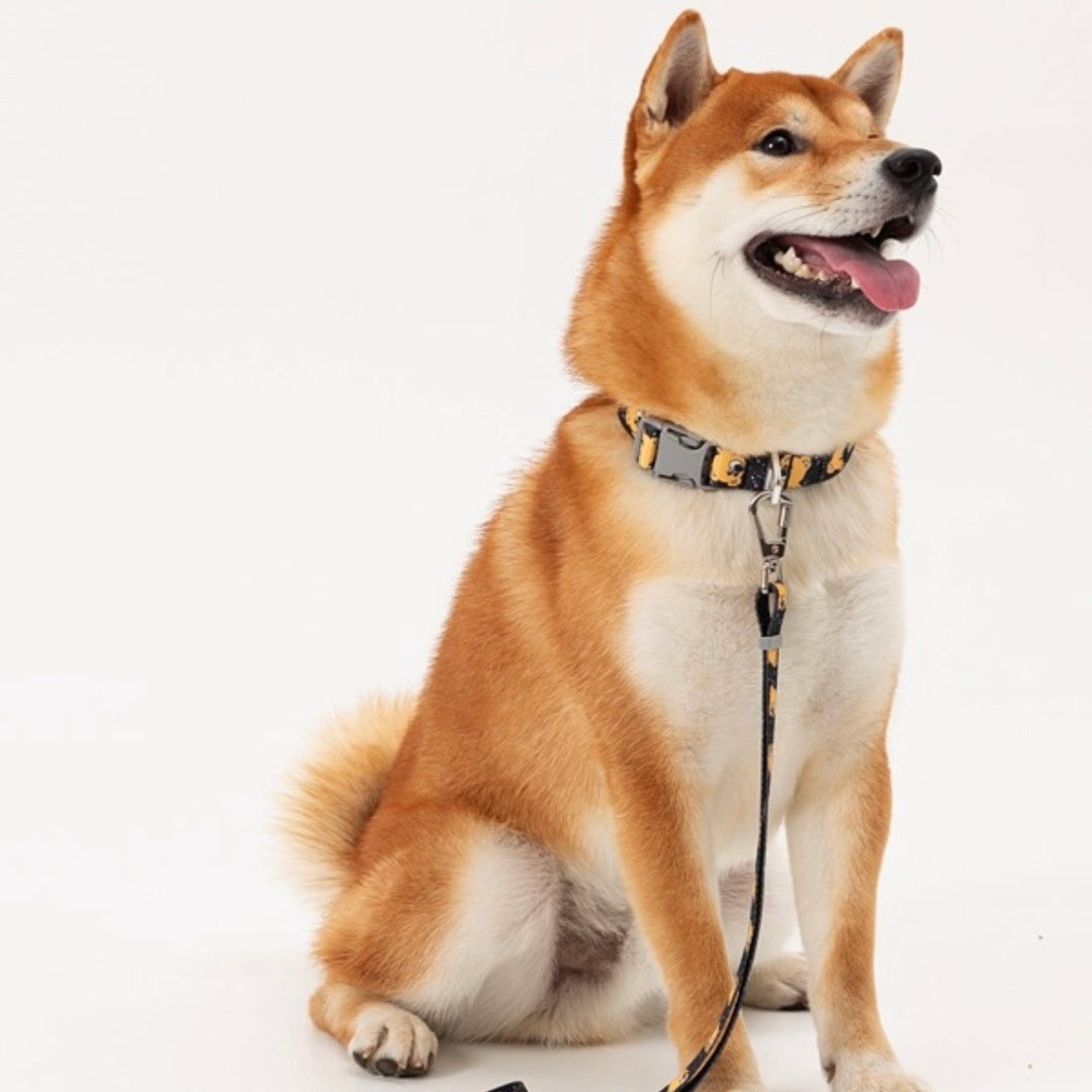 ※予約販売【andblank】ICONIC Joy Bear Collar（Black）