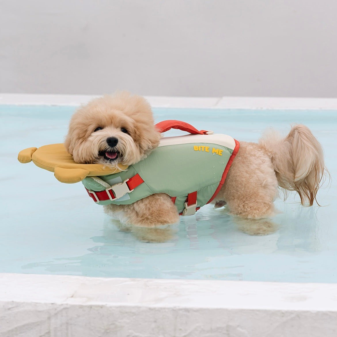 海外犬服 高品質なインポートのドッグウェア通販 